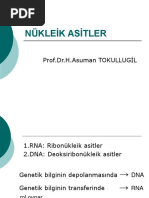 toefl essay oku toefl essay oku